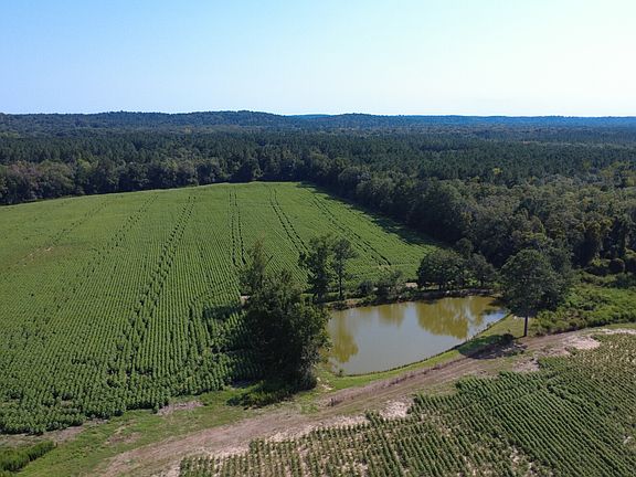 5th image of 7 County Road 223