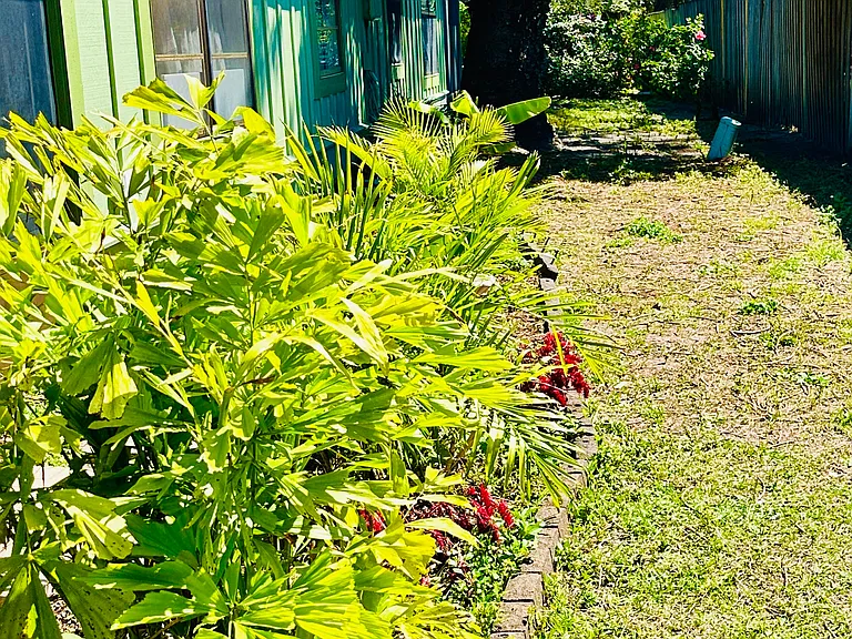 Nice landscaping outside the windows. Privacy from neighbors.