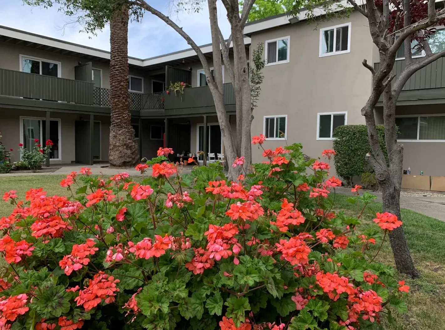 Midtown Apartments — Photo 2