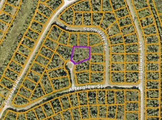 LOT 20 Port Charlotte Sub 46, North port, FL 34288