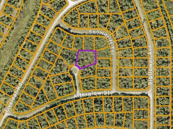 LOT 20 Port Charlotte Sub 46, North Port, FL 34288