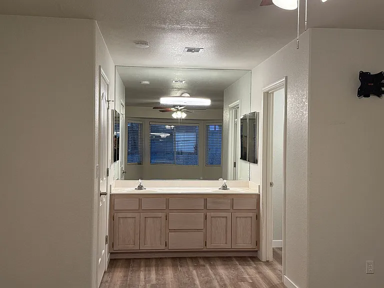 3346 Fountain Palm Dr — Photo 13