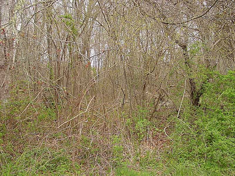 2nd image of 17 Pond View Dr