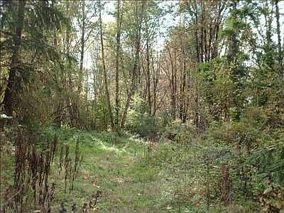 2nd image of 169 Harmony Rd