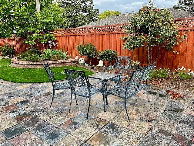 back yard