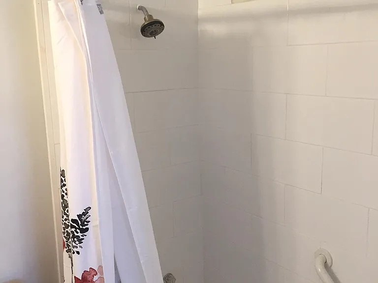 Shower/tub. Plenty of hot water.