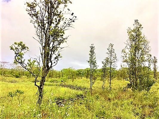 1st image of 15-1753 8th Ave Lot 1970