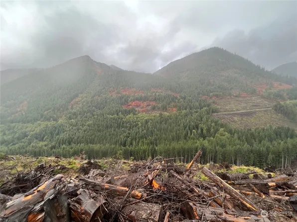 3 XX Cayada Creek Road - USFS 7810, Carbonado, WA 98396