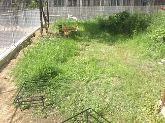 Rented by Rennit Inc.