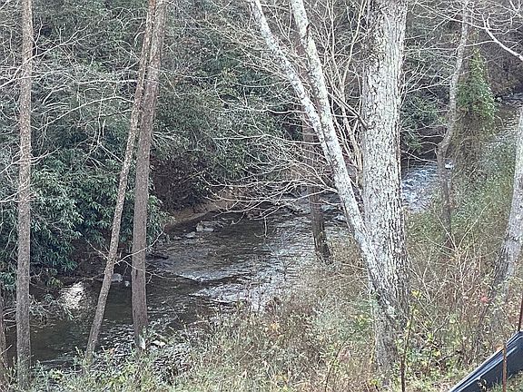 View from rear deck.