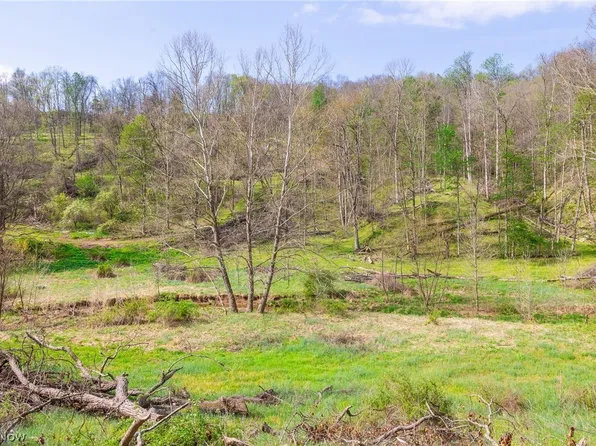 0 Township Road 63 Deans Frk #3, Whipple, OH 45788