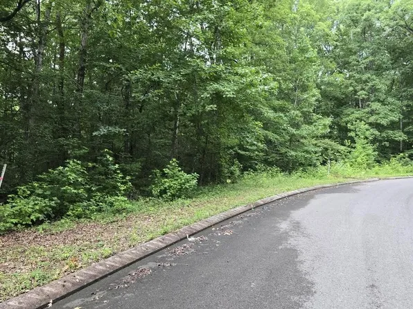 141 Lower Brow Rd Lot 141, Dunlap, TN 37327