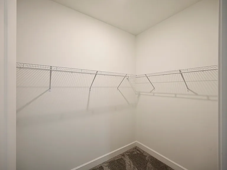 3806 Savanna Palms Ct — Photo 32