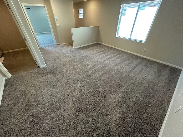 7526 Pink Mimosa Ave — Photo 20
