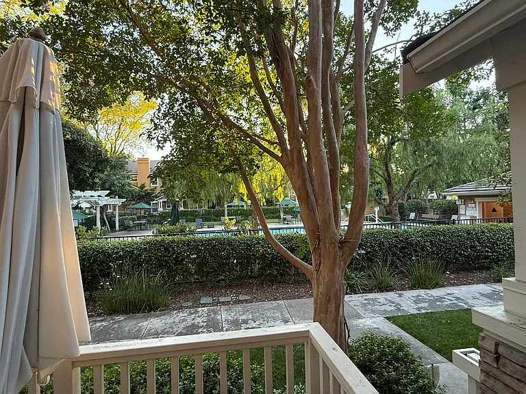 Overlooking pool