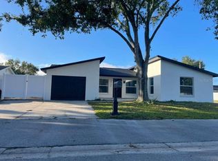 10106 Royal Acres Ct, Tampa, FL 33615