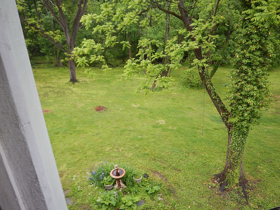 View from Kitchen