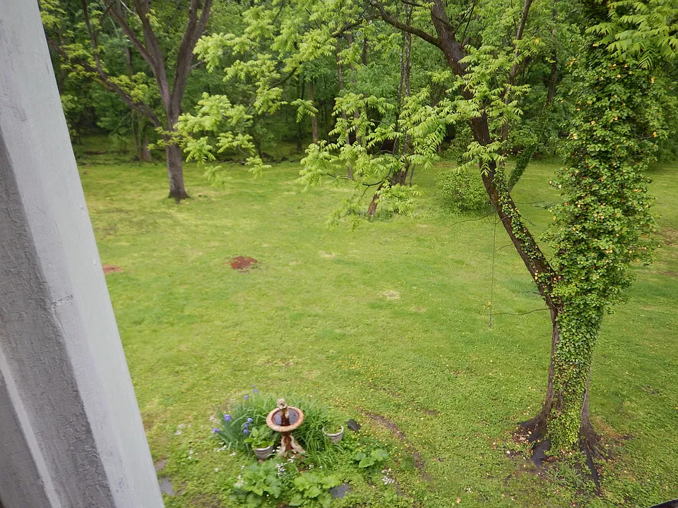 View from Kitchen