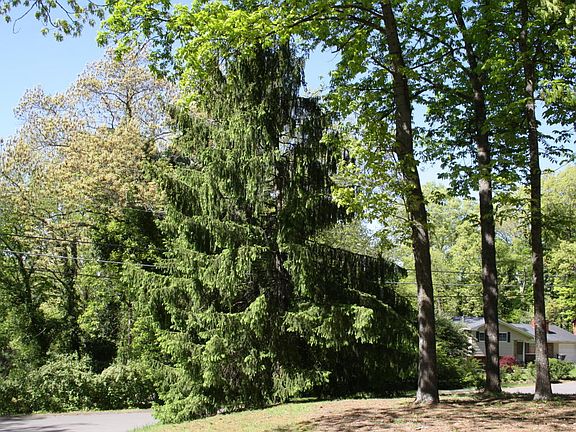 3rd image of 1200 Grist Mill Cir