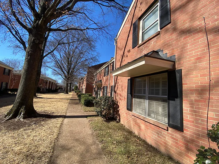 5718 Quince Rd — Photo 29