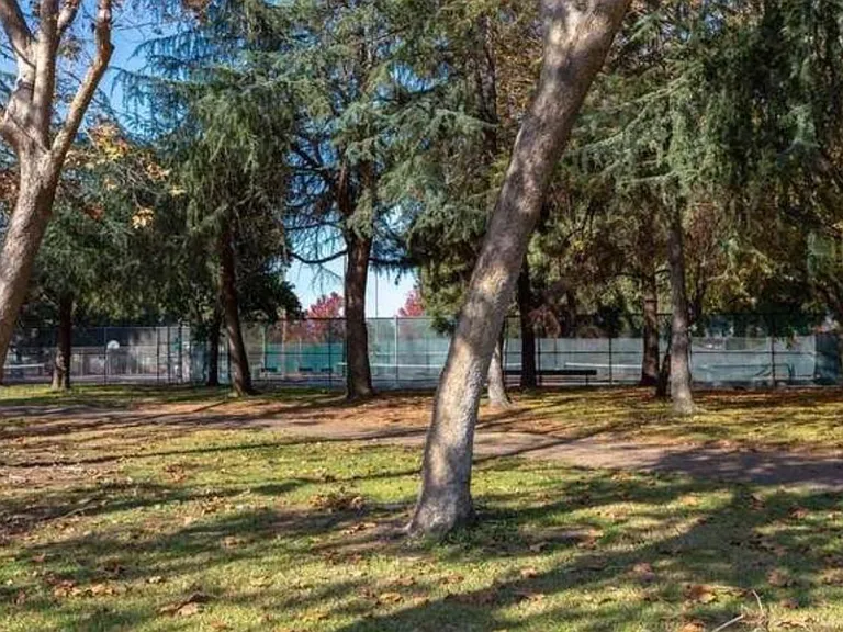 Cheryl Ann Cir — Photo 19