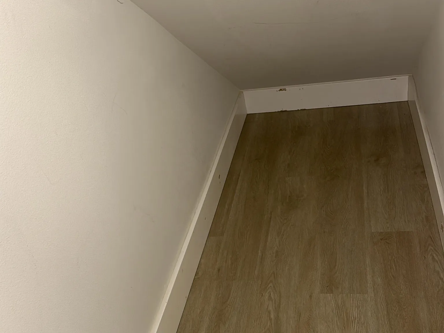1 bed, $1,000 — Photo 4