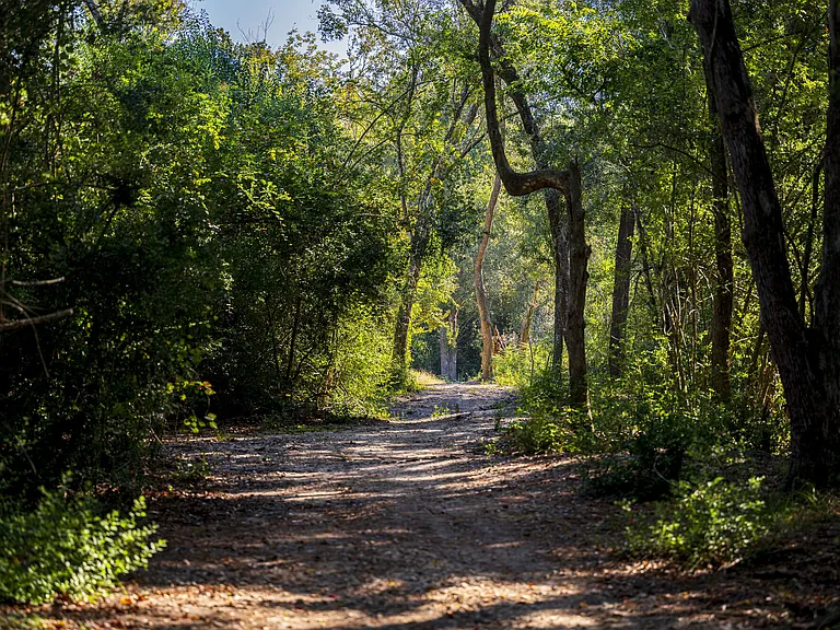 Asher Towne Lake — Photo 30