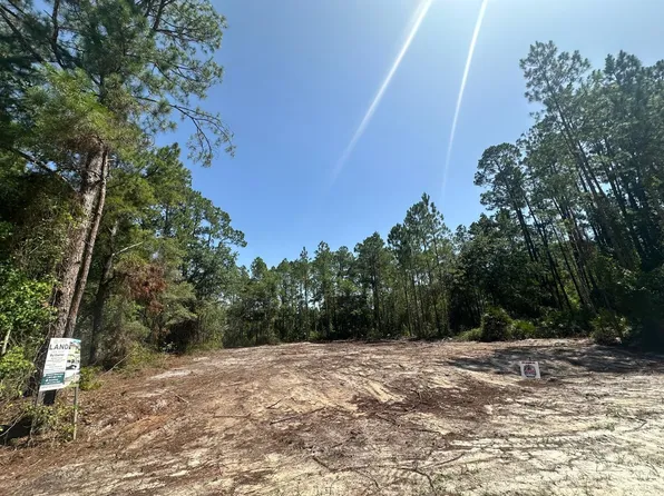 118 Rosewood St, Georgetown, FL 32139