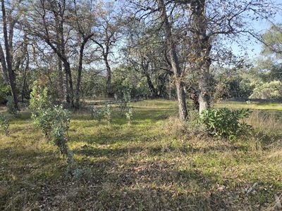 Lake Blvd, Redding, CA, 96003