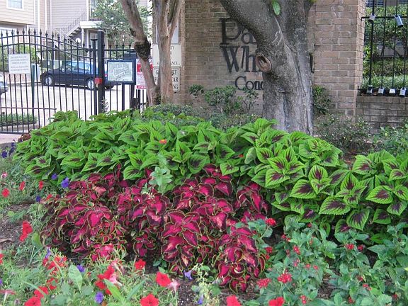 3rd image of 1860 White Oak Dr APT 207
