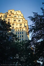 Rented by Stellar Management