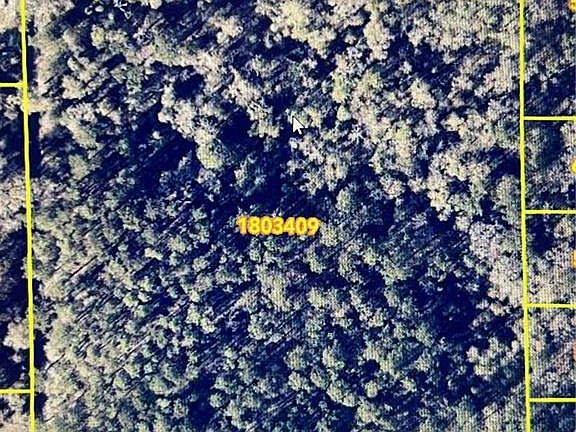 2nd image of Brown Rd