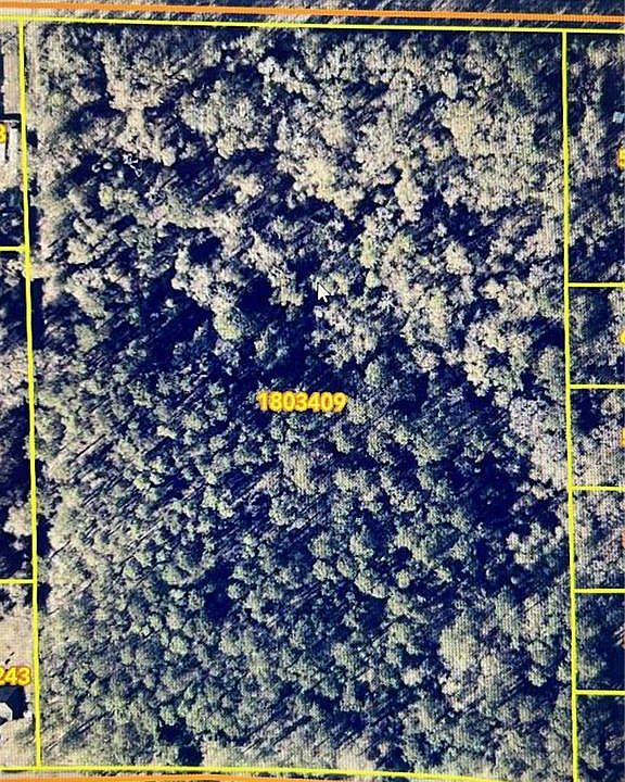 2nd image of Brown Rd