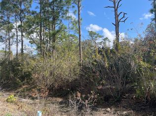 228 Marlin St NW, Lake Placid, FL 33852