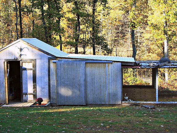 shed/ built in dog kennels