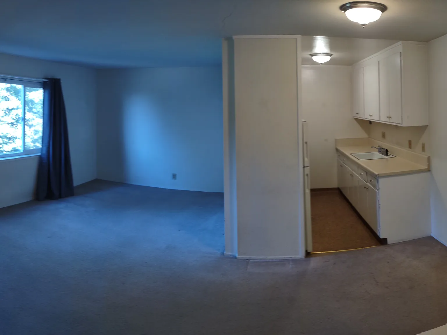 1 bed, 469 sqft, $2,000 — Photo 2