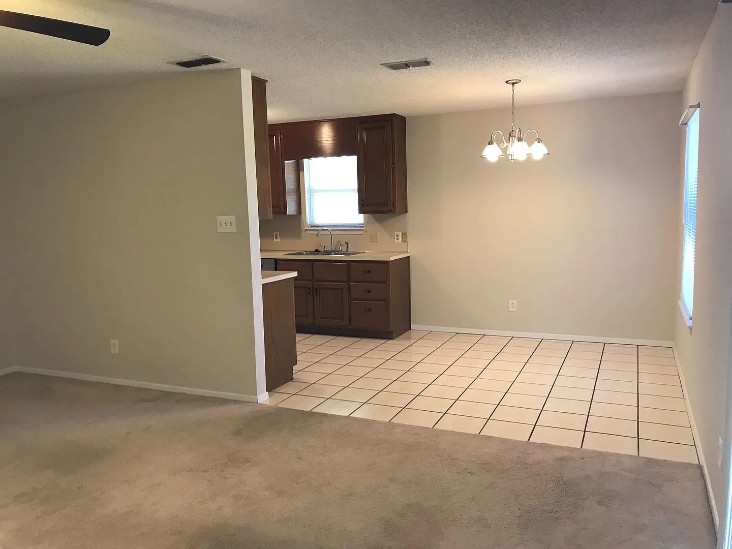 1633 Chachalaca Lane — Photo 3