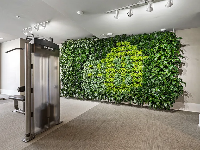 Purifying Living Wall in Fitness Center