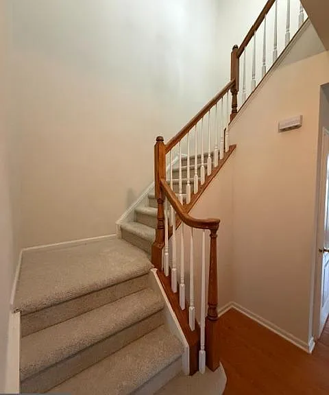 43686 Hamilton Chapel Ter — Photo 19