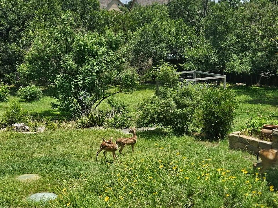 1st image of 10210 Twin Lake Loop