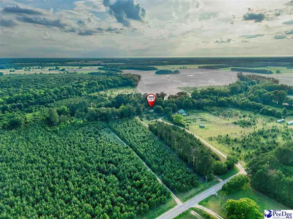 Judson Rd, Little Rock, SC 29567