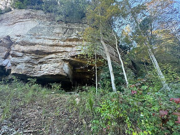 5th image of 299 Gold Mine Rd