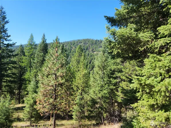 0 xxx Turner Lake Road, Tonasket, WA 98855