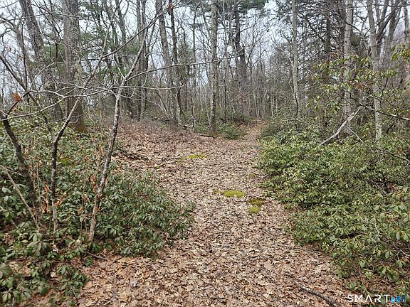 5th image of Windy Ridge Road