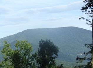 0 Stockton Rd, Flag Pond, TN 37657