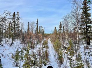 Nhn Magpie Ave, Healy, AK 99743