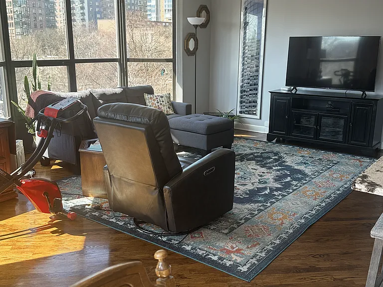 901 S Plymouth Ct #206 — Photo 2