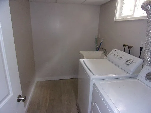 3 bed, 2.0 bath, 1134 sqft, $3,100 — Photo 4