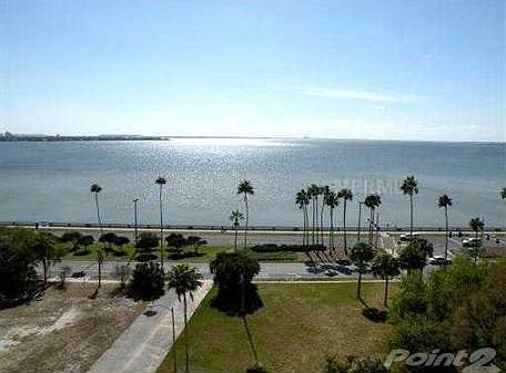 2nd image of 2109 Bayshore Blvd #1006