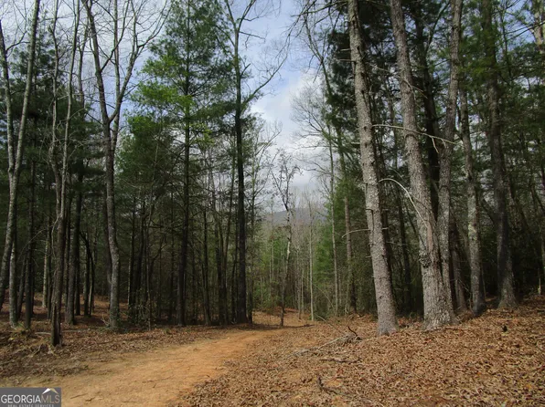 0 E New Hope Rd Tract B, Ellijay, GA 30536